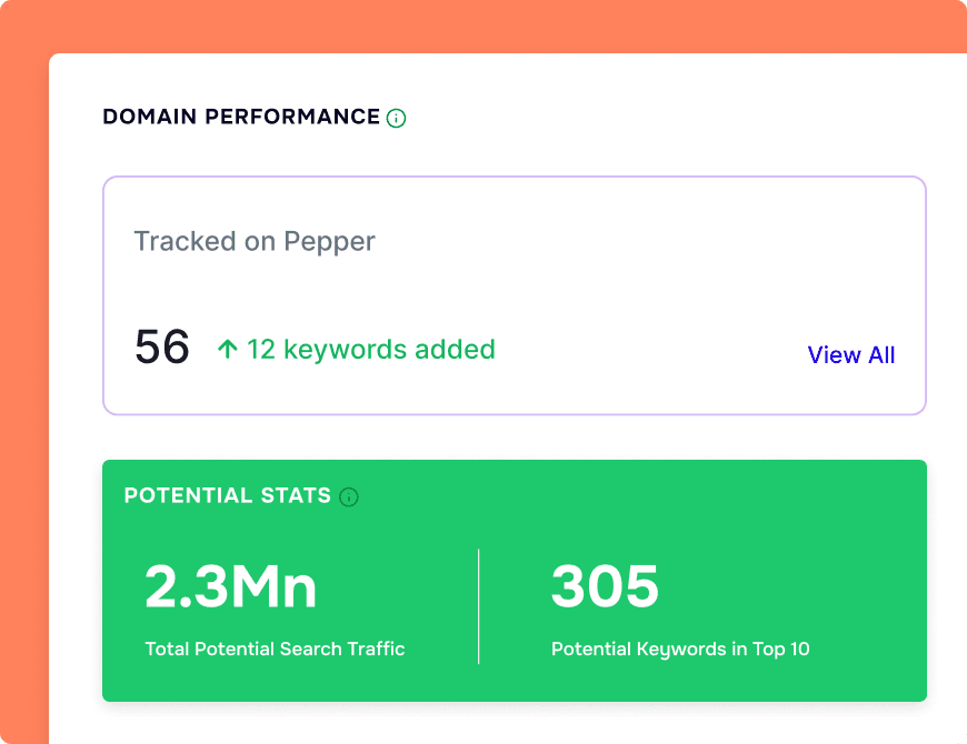 <p>Track how your domain is performing</p>