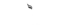 Apollo 24/7